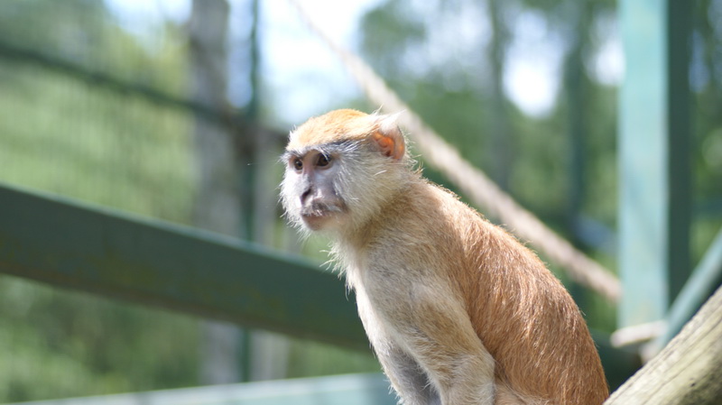 DSC02577 resize