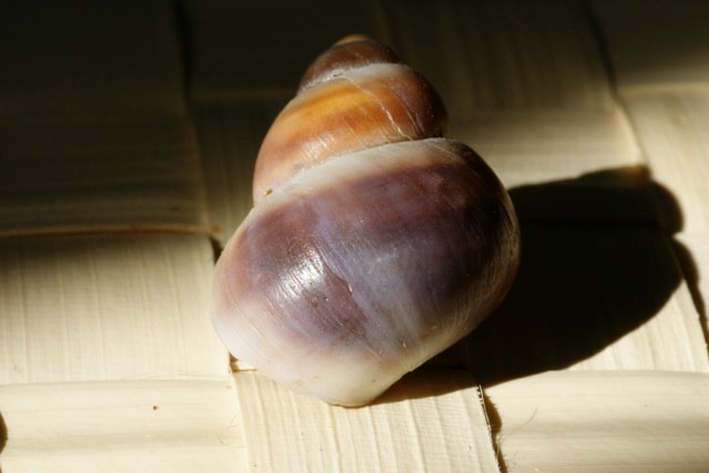 DSC05281