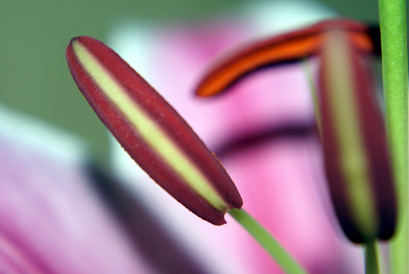 DSC00905