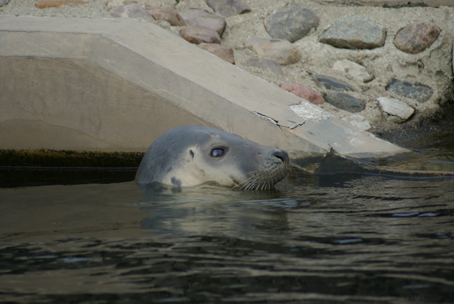 DSC01687