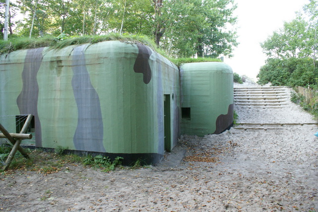 DSC01741