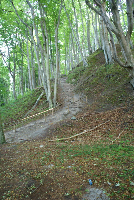 DSC01750