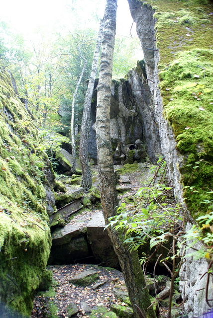 DSC01800