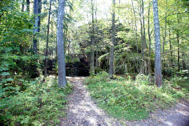 DSC01815