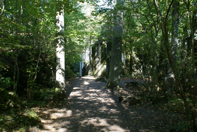 DSC01829