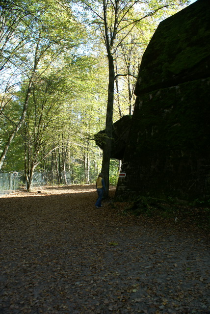 DSC01837