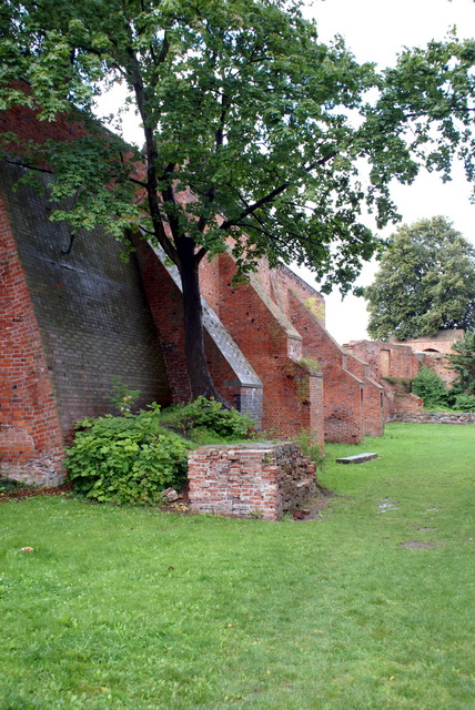 DSC01551