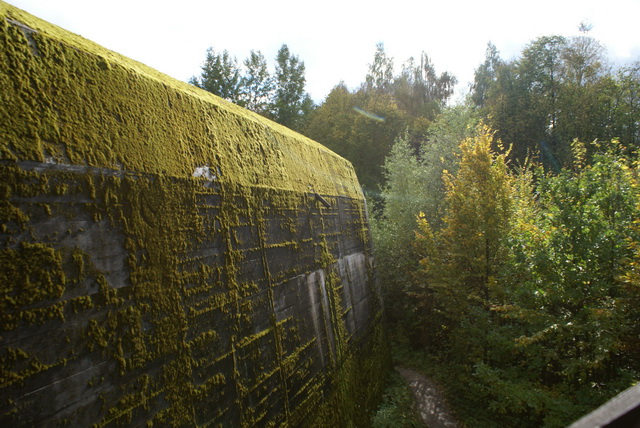 DSC01890