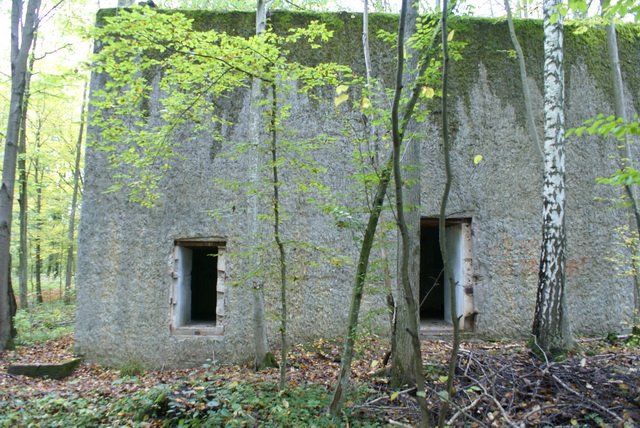 DSC01904