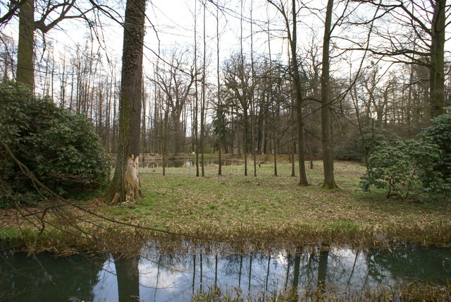 DSC04200