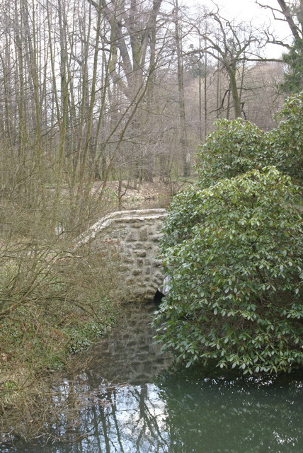 DSC04202