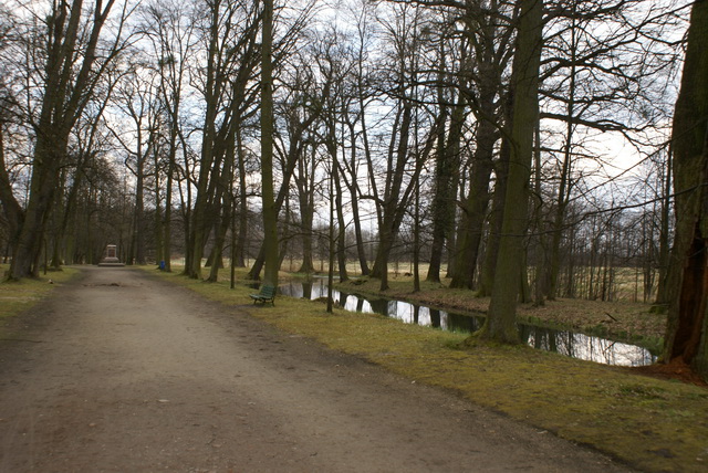 DSC04220