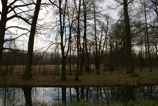DSC04223
