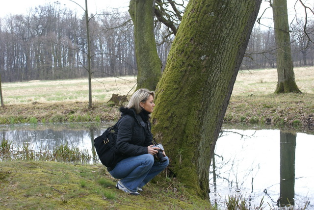 DSC04239
