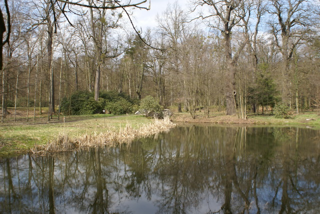 DSC04266