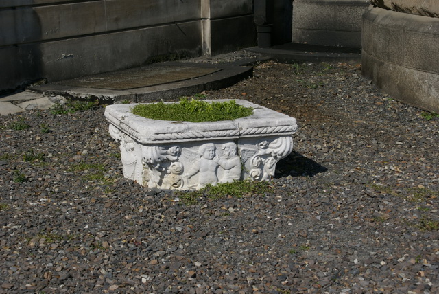 DSC04336