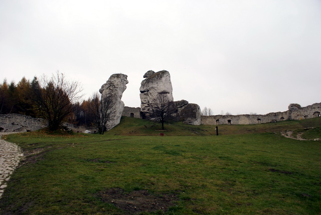 DSC02188