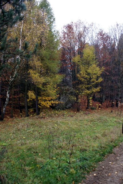 DSC02302
