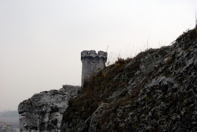 DSC02316