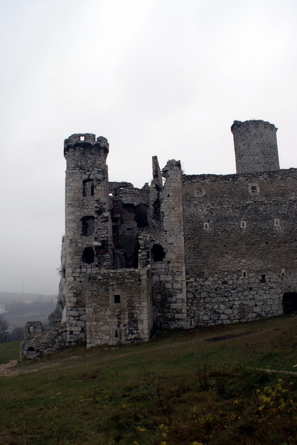 DSC02326