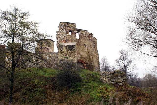 DSC02175