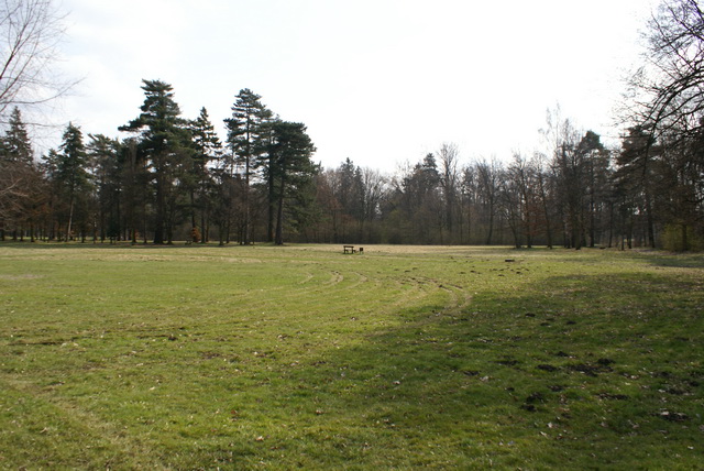DSC03899