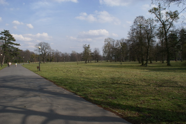 DSC03900