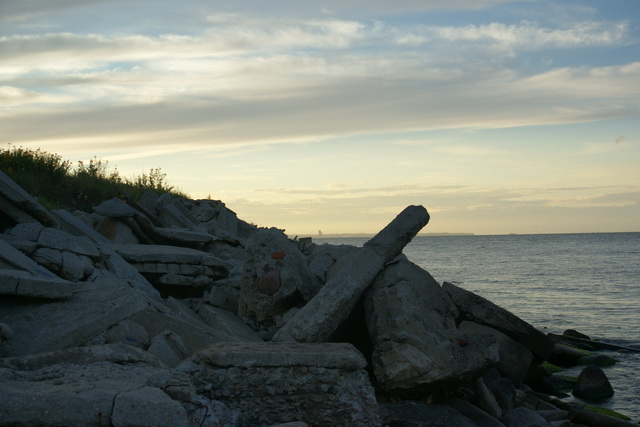 DSC05938