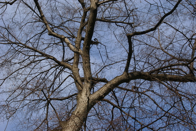 DSC03861
