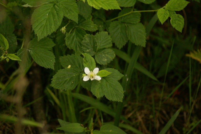 DSC00407