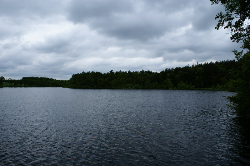 DSC00390