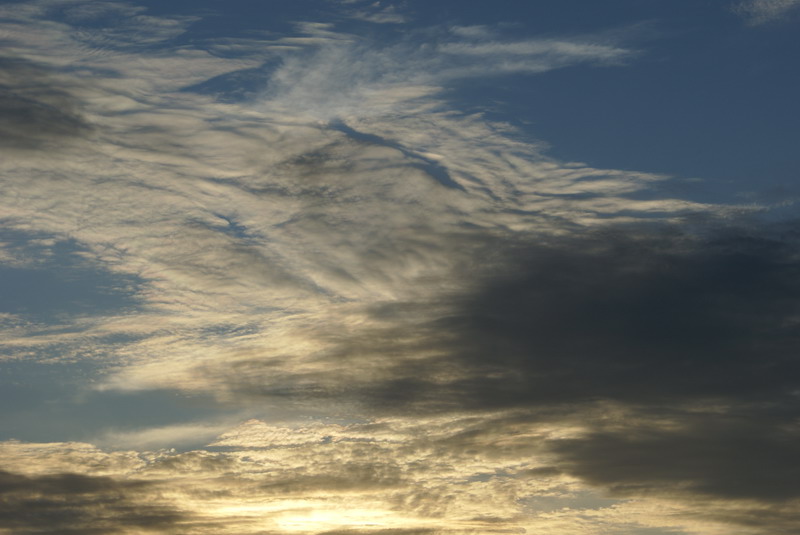 DSC00809