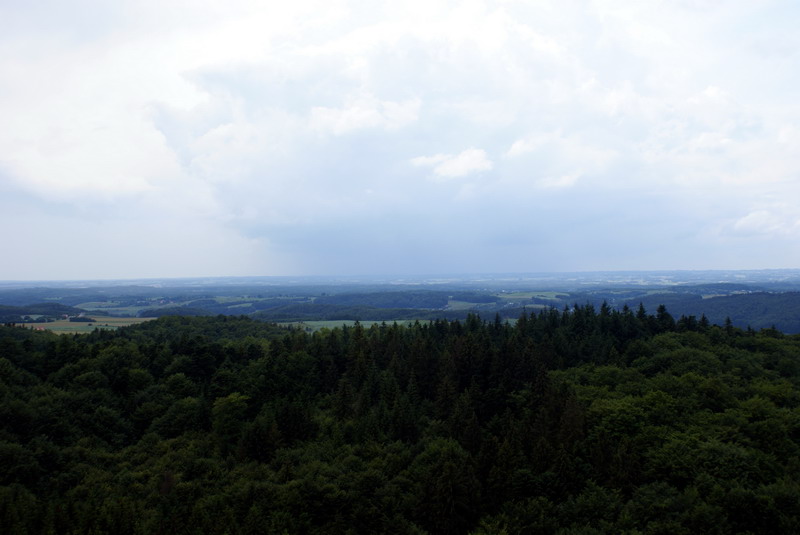 DSC00857