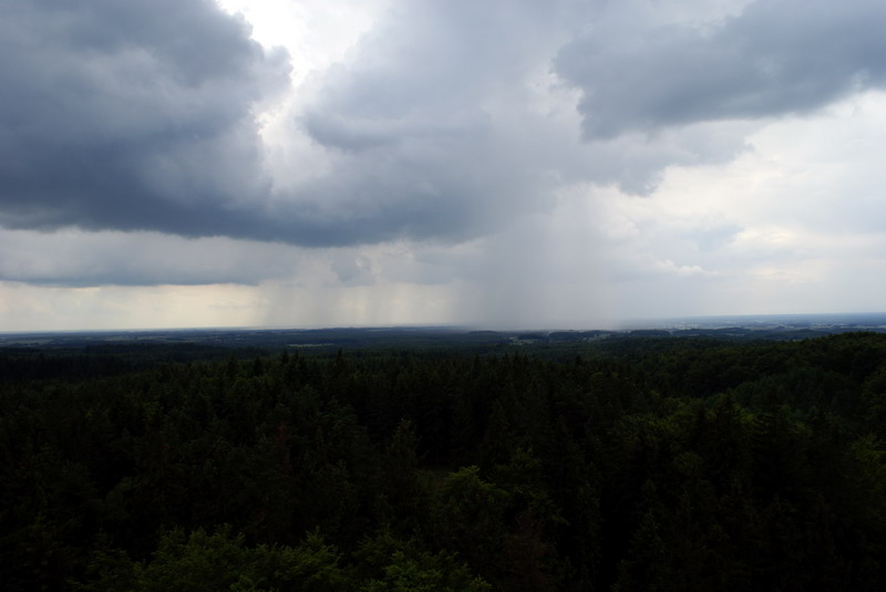 DSC00898