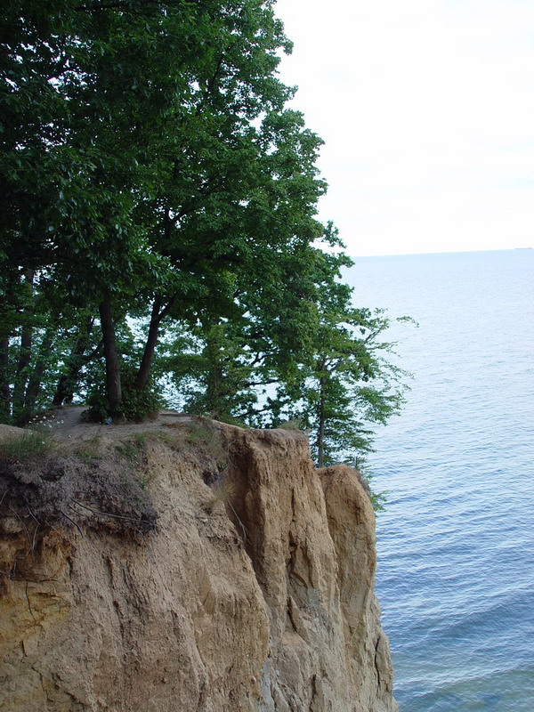 DSC01368
