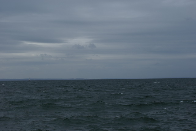 DSC01661