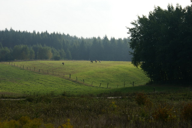 DSC01779