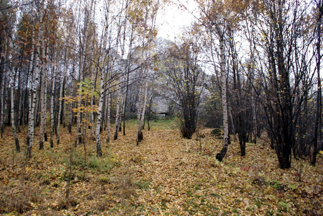 DSC02300